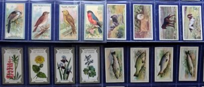Cigarette cards, R J Lea, 6 sets, Flowers to Grow, Roses, Butterflies & Moths (silk, smallest size),