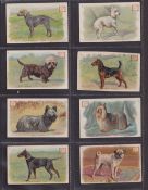 Trade cards, Church & Dwight, New Series of Dogs, 'M' size, (set, 30 cards) (gen gd)