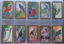 Cigarette cards, Godfrey Phillips, 12 sets including Fish, First Aid (Series of 50), Film Stars (