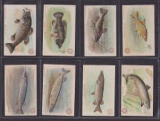 Trade cards, Church & Dwight, Fish Series, 'M' size, (set, 30 cards) (gen gd)