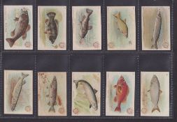 Trade cards, Church & Dwight, Fish Series, Standard size, (set, 30 cards) (mixed condition, 4 poor/