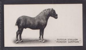 Cigarette card, Taddy, Famous Horses & Cattle, type card, no 9, Suffolk Stallion, 'Morston