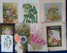 Ephemera, Gardening, 30+ items to include 1934 CWS Seed catalogue, letter heads, 1910 Fryett,