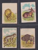 Trade cards, Barratt's, Natural History (Animals), 'K' size, four cards, ref HB60, Lion, Rabbit,
