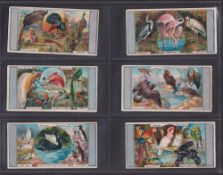 Trade cards, Henderson & Sons, General Interest series (set 132 cards), (approx. 15 cards poor