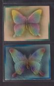 Tobacco Leathers, USA, ATC, Butterflies, approx. 100mm x 132mm, 6 different plus 8 colour variations