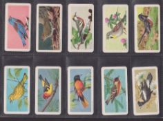 Trade cards, Brooke Bond Canada, Songbirds of North America 'Album Available' version (set 48 cards)
