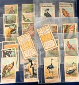 Cigarette cards, Canary Islands, Miranda, 'Aves Exoticas' (Exotic Birds) Serie I, 'XL' size (set, 50