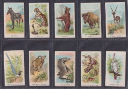 Cigarette cards, BAT Eagle Bird brand, Animals & Birds (set 50 cards) (a few slightly grubby,