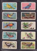 Trade cards, Brooke Bond Canada, Songbirds of North America 'Mount Your Collection' version (set