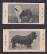 Trade cards, Barratt's, Prize Dog Series, two cards, Sheep Dog and Sussex Spaniel (gd) (2)