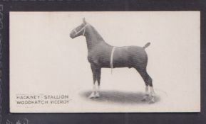 Cigarette card, Taddy, Famous Horses & Cattle, type card, no 41, Hackney Stallion, 'Woodhatch