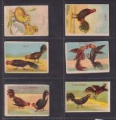 Cigarette cards, Spain, 6 'M' size Spanish Language cards, all Poultry related, 4 La Corona