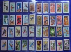 Trade cards, Brooke Bond Canada, 15 sets including Songbirds North America, Canadian / American
