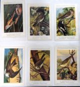 Postcards, Birds, a collection of 149/150 cards of the Birds of Belgium published by The Natural