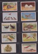 Cigarette cards, T Goodbody, Questions & Answers in Natural History (set 50 cards) (gen gd/vg)