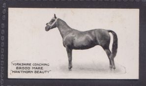 Cigarette card, Taddy, Famous Horses & Cattle, type card, no 36, Yorkshire Coaching Brood Mare '