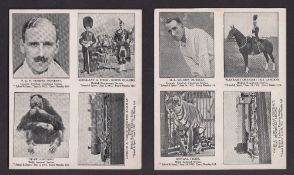 Trade issues, School and Sport, (Periodical), 4 uncut sheets relating to four different series,
