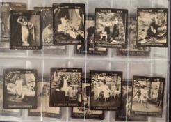 Cigarette cards, South America. Mixture of approx. 250 cards mostly from Bolivia & Argentina. Many