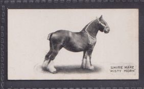 Cigarette card, Taddy, Famous Horses & Cattle, type card, no 43, Shire Mare 'Misty Morn' (vg) (1)