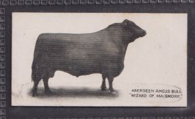 Cigarette cards, Taddy Famous Horses & Cattle, type card number 38 Aberdeen Angus Bull (vg)