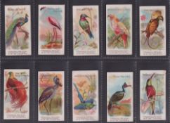 Cigarette cards, South America (Brazil), Nacional, Birds of the Tropics (12 cards) & Quadrupeds (4