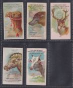 Trade cards, USA, Granger & Co, Animal Cards, 5 cards, Dromedary, Duck-Billed Platypus, Stag,