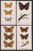 Trade cards, Cadbury's, British Butterflies & Moths (Reward Cards), 'P' size (set, 32 cards, mixed