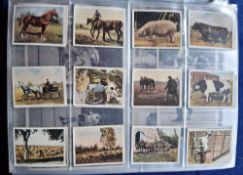 Trade cards, large mixture in album, several hundred cards. Many issuers including A&BC Gum