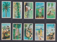 Trade cards, The Island of Ceylon, 2 sets by 2 issuers, one issued by Coopers Tea, the other by