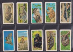 Trade cards, Brooke Bond Canada, Animals & Their Young (set 48 cards), all the scarcer 