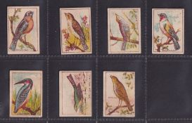 Trade cards, Barratt's, Natural History, 'K' size, 7 different Bird cards, Bullfinch, Cornbunting,