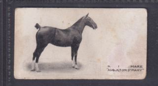 Cigarette card, Taddt Famous Horses and Cattle type card, 39 Hackney Mare (grubby, fair)