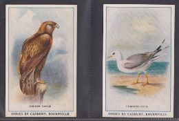 Trade cards, Reward cards, P Size x 5 - Cadbury Bournville (4) Common Gull, Golden Eagle, Curlew,