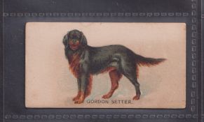 Cigarette card, USA Goodwin, Dogs of the World type card, Gordon Setter ( about gd)