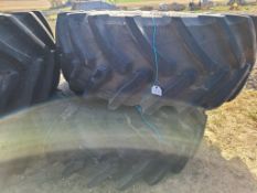 Trelleborg TM1000 710/70R42 Tires