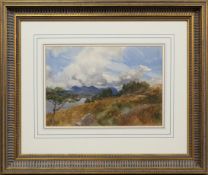 GOLDEN BRACKEN, LOCH EIL