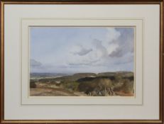 CHICHESTER AND ISLE OF WIGHT FROM GOODWOOD