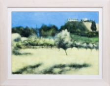 * PETER NARDINI (SCOTTISH b. 1947), SAN GIMIGNANO PICNIC SPOT
