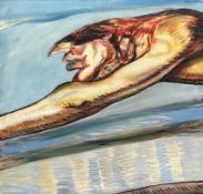 * JAMES HARDIE (SCOTTISH 1938 - 2024), ON THE WING