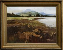 * ALAN B HAYMAN (SCOTTISH b. 1947), A HIGHLAND LOCH