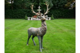 STAG *PLUS VAT*