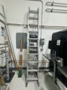 LOT CONSISTING OF (3) ASSORTED LADDERS: WERNER AND DAVIDSON