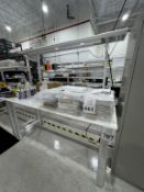 BENCHDEPOT WORKBENCH 6' WITH OVERHEAD LIGHTING