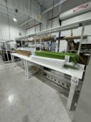 BENCHDEPOT WORKBENCH 6' WITH OVERHEAD LIGHTING