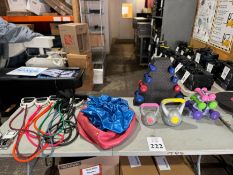 LOT CONSISTING OF FITNESS THERAPY EQUIPMENT