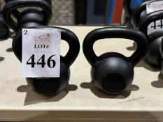 YES 4 ALL KETTLEBELLS 30 LBS.