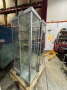 GLASS CURIO CABINETS WITH SHELVES