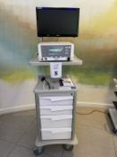 THERMI AESTHETICS MODEL: THERMI RF LASER RADIO FREQUENCY