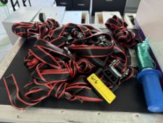 LOT CONSISTING OF RATCHET STRAPS